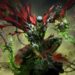 Diablo Immortal anuncia colaboração com Spawn para 29 de setembro